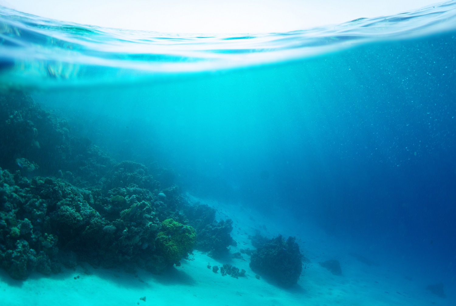 sea