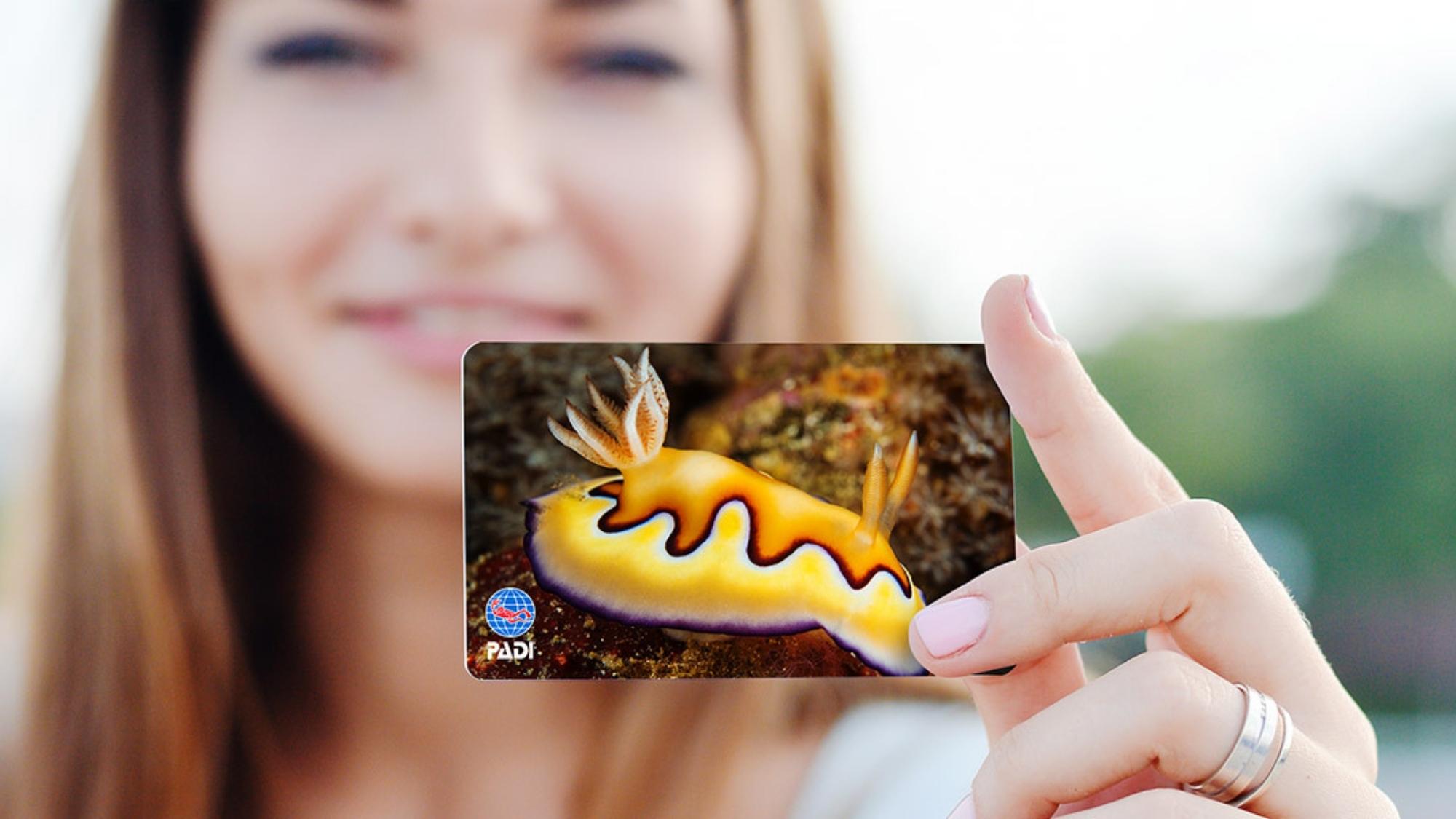Nudi Branch - Email Hero 2000 X 1125.jpg Nudi Branch - Email Hero
