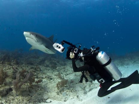 PADI AmbassaDiver: Lesley Rochat