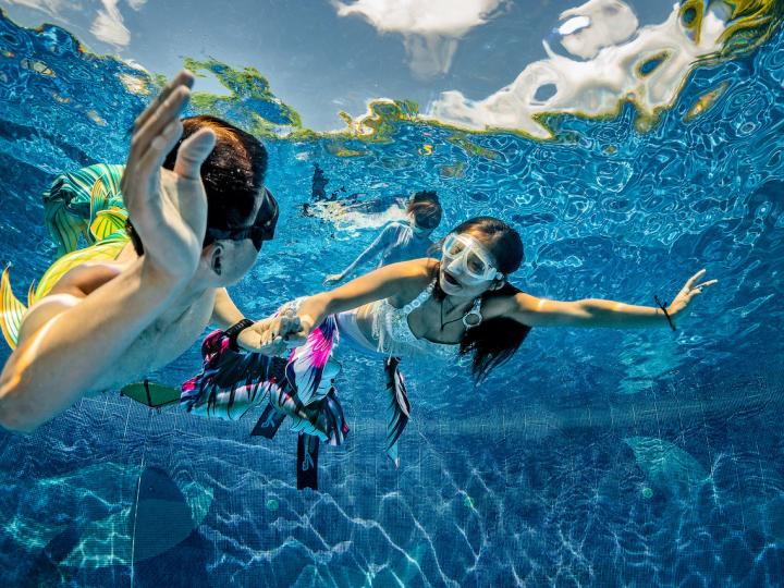 Why PADI?