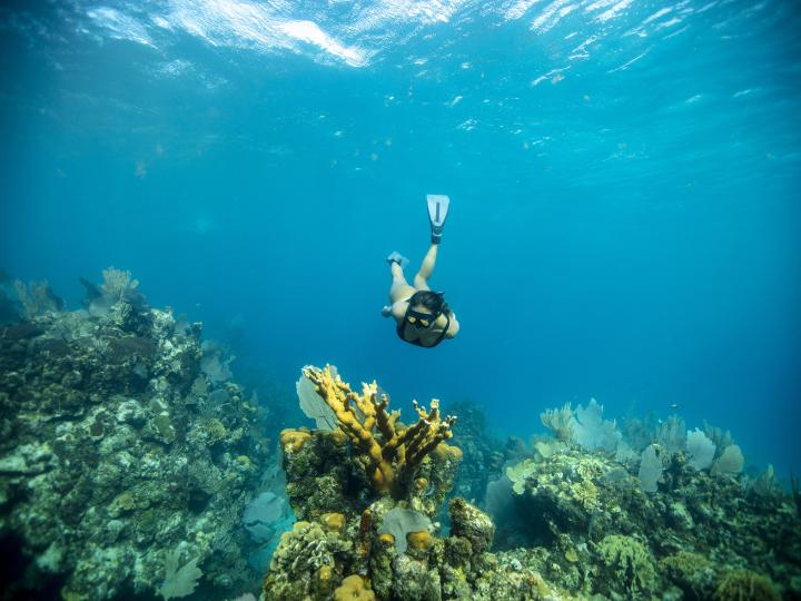 Dive Into Your Blue Mind