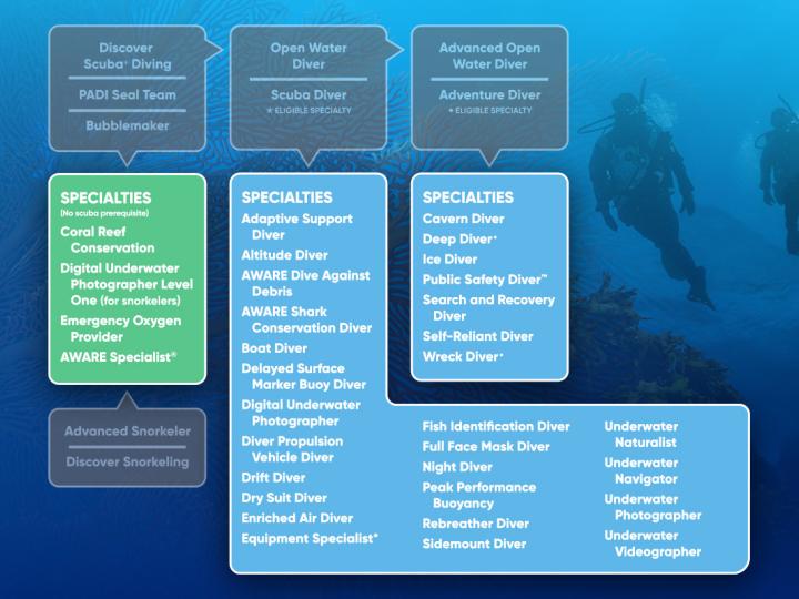 PADI specialties courses flow chart.