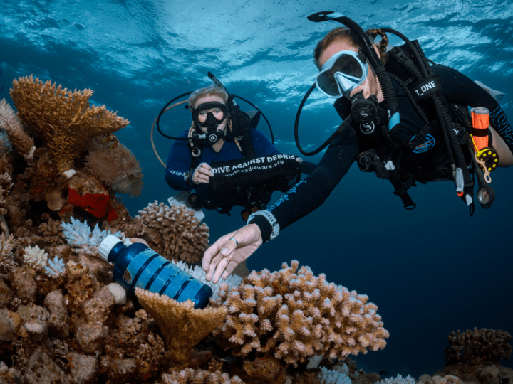 scuba divers exploring and protecting the ocean