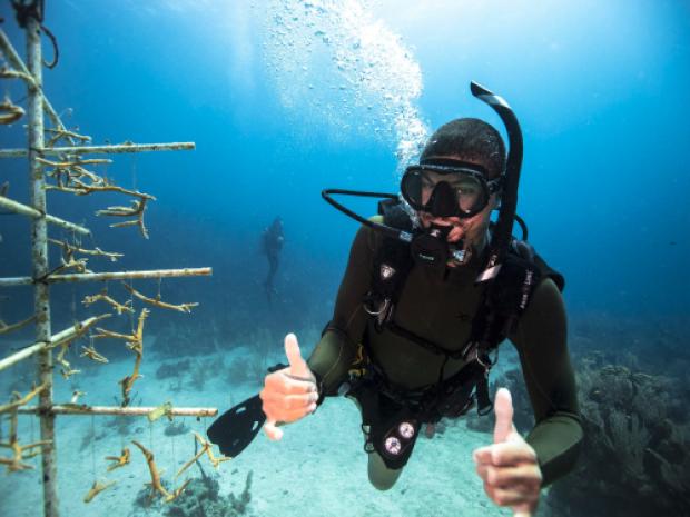 mega-menu-ocean-conservation