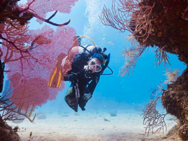 PADI AWARE Week 2021