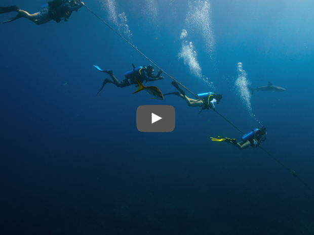 Seek Adventure Save the Ocean