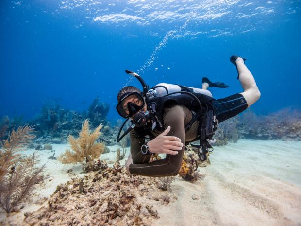 Open Water Diver