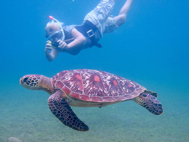 Pawikan Project, an organization dedicated to being PADI Torchbearers.