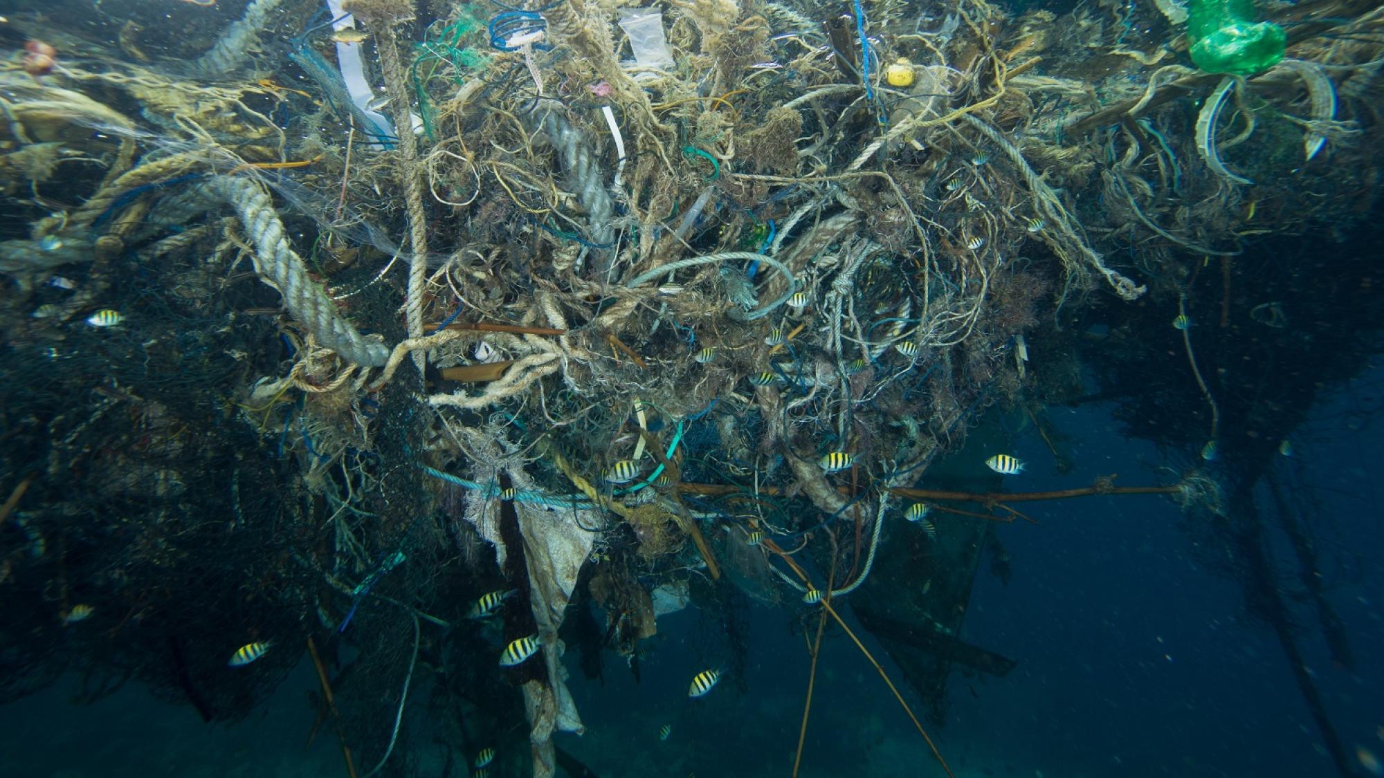 Marine Debris