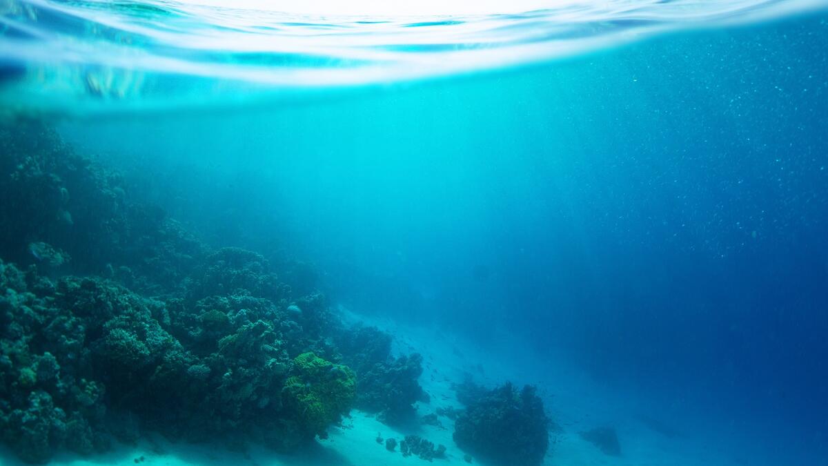 sea