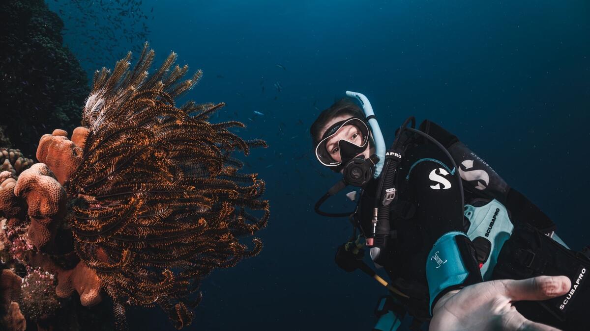 A scuba diver hovers underwater near a vibrant coral reef