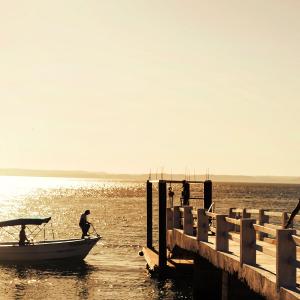 Dive Centers & Resorts