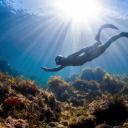 Freediving